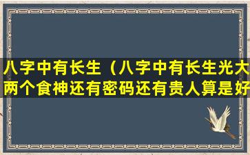 八字中有长生（八字中有长生光大两个食神还有密码还有贵人算是好命 🌷 吗）